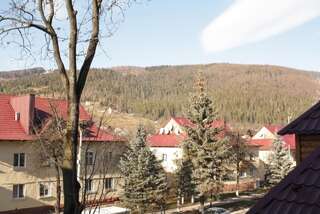 Мини-отель Hotel Yaremche Яремче Четырехместный номер с собственной ванной комнатой-5